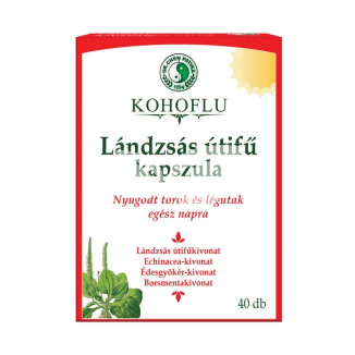 Dr.Chen Kohoflu Lándzsás Útifű Kapszula