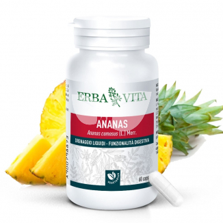 Naturtanya erbavita mikronizált ananász kapszula 60 db