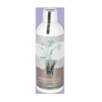 Probiotic+ Kid élőflórás probiotikus ital gyerekeknek 500 ml