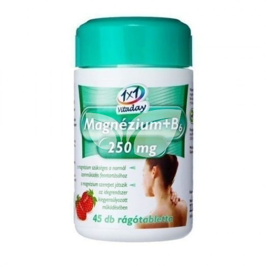 1X1 Vitaday Magnézium+B6 Vitamin 250 Mg Rágótabletta