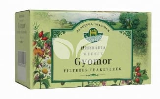 Herbária Mecsek Gyomor tea Filteres