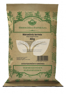 Herbária Máriatövis-termés Májra - 1.